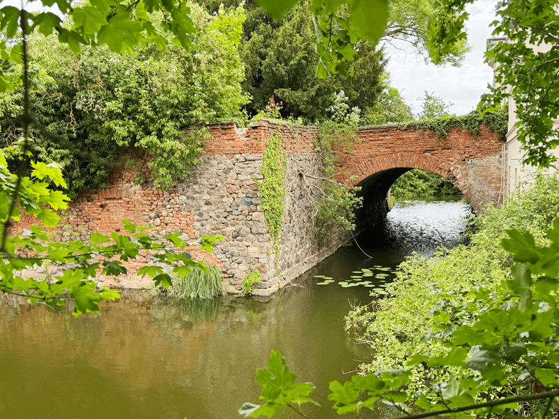 burg-angern-suedwand