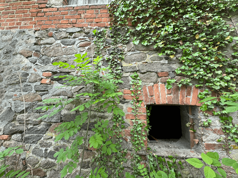 palas-angern-fenster
