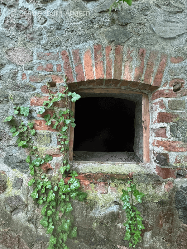 palas-angern-fenster-sued