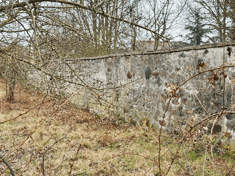 schloss-angern-mauer