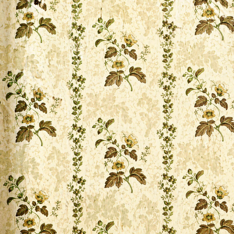 Tapetenfund Schloss Angern