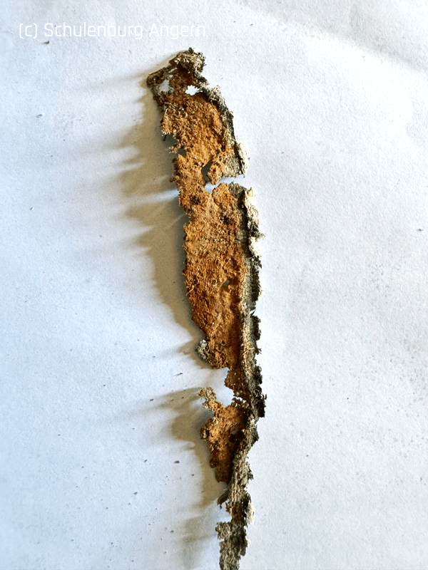 Fragment einer Leinwandtapete